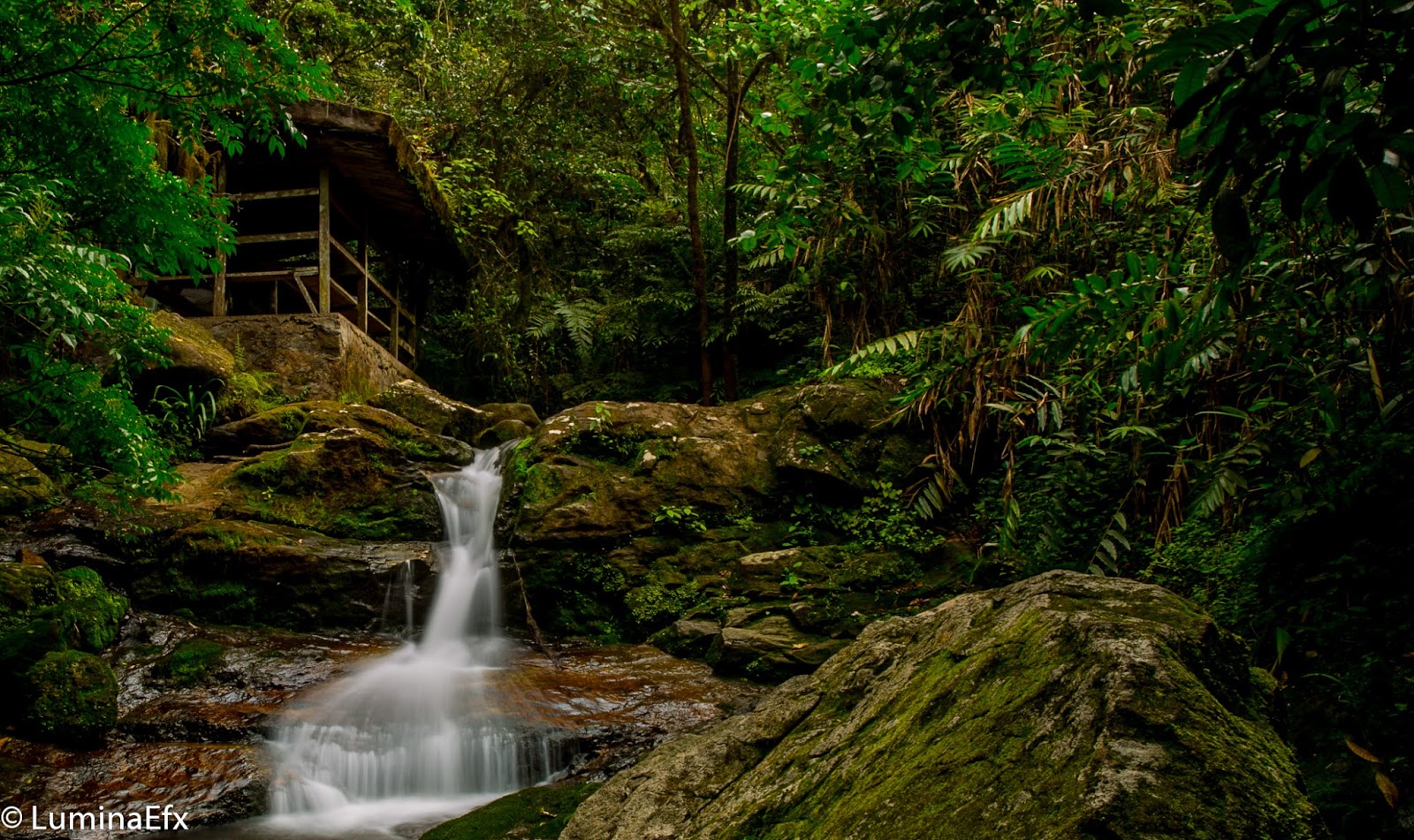 Obudu mountain reserve waterfall