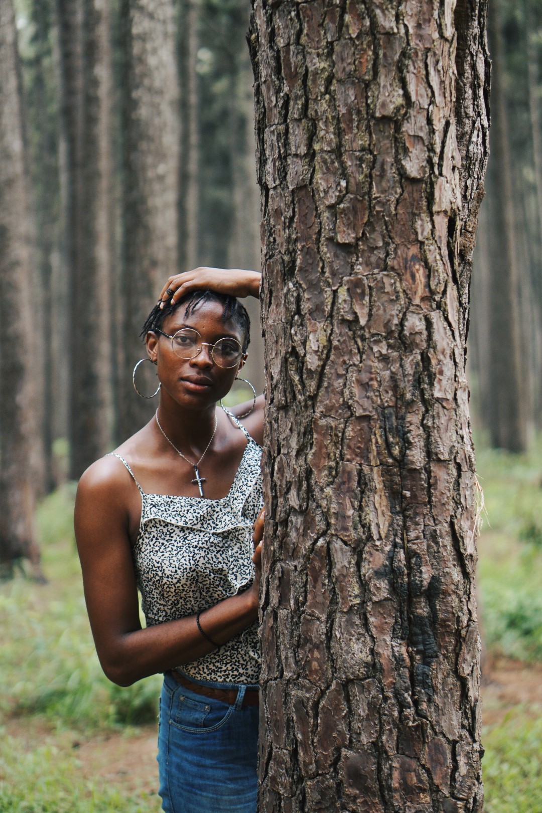 Ngwo pine forest in Enugu