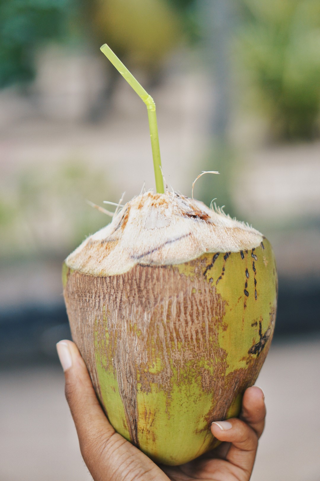 Picture of a coconut at a lake house in ouidah Benin Republic