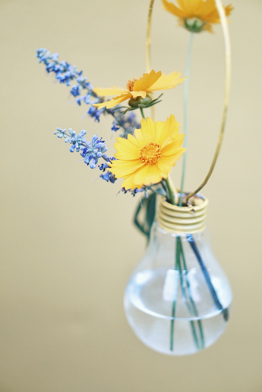 Light bulb with flowers