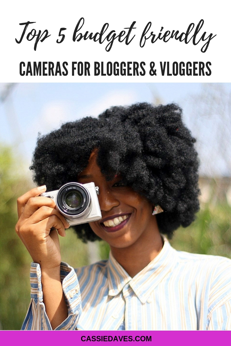 pinterest graphic for best cameras for bloggers