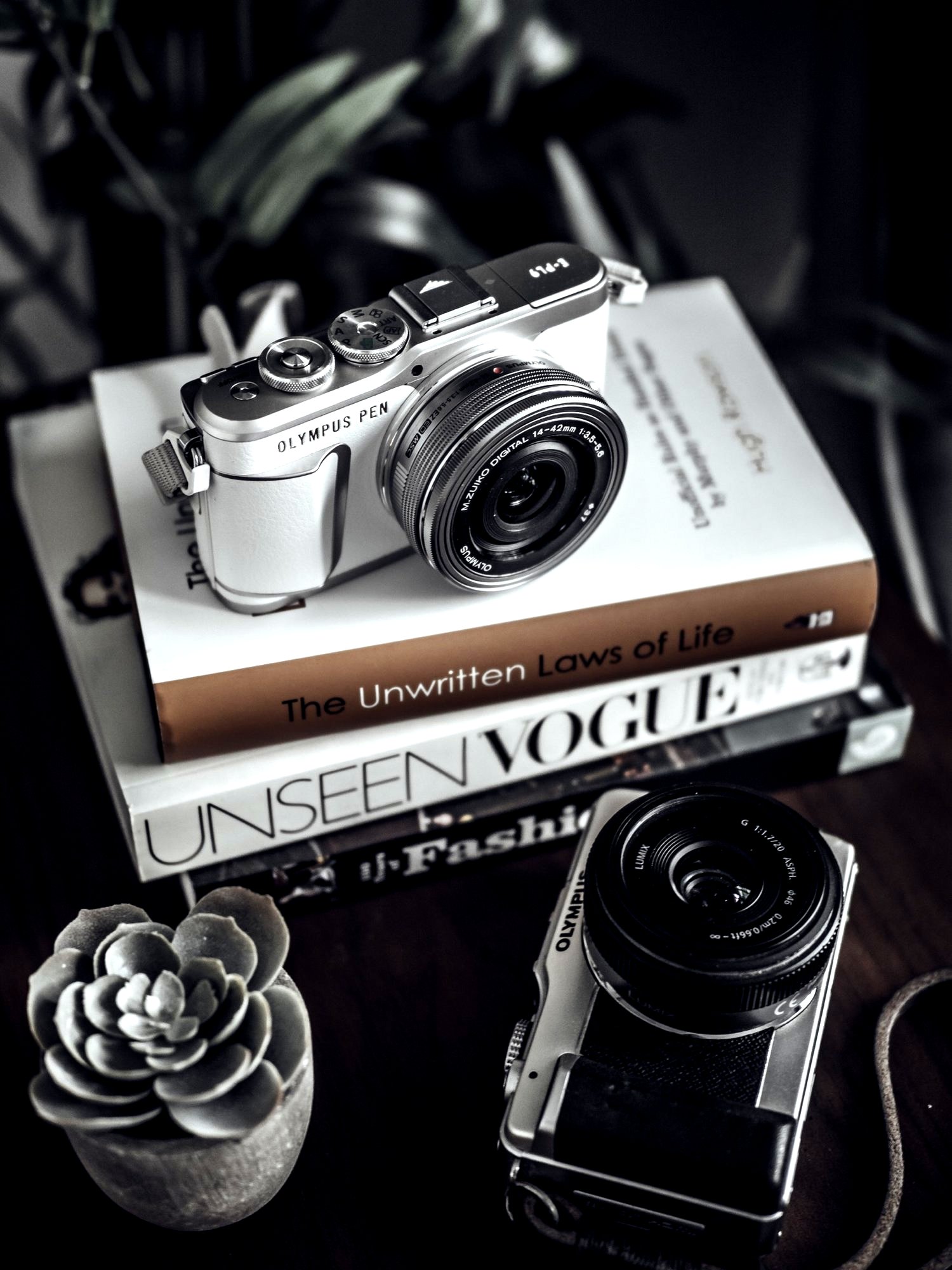 olympus pen camera - best cameras for bloggers and vloggers