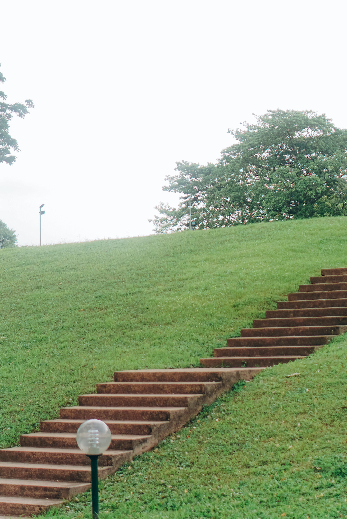 Stairs at IITA Ibadan