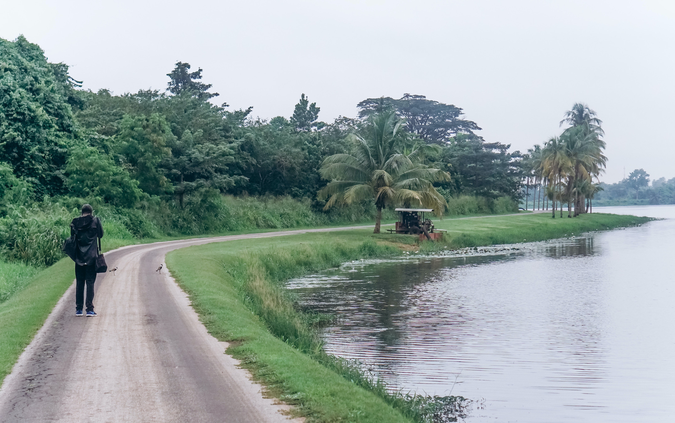 Lake at IITA Ibadan